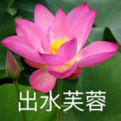 雷神战纪手游下载